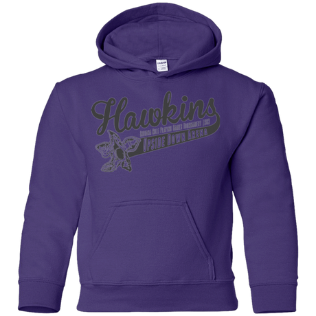Sweatshirts Purple / YS Hawkins Role Playing Tournament Youth Hoodie