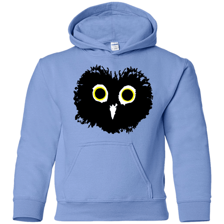 Sweatshirts Carolina Blue / YS Heart Owls Youth Hoodie