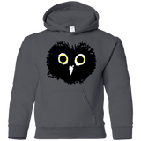 Sweatshirts Charcoal / YS Heart Owls Youth Hoodie