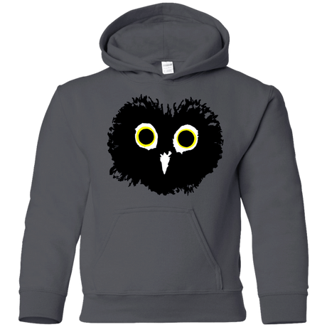 Sweatshirts Charcoal / YS Heart Owls Youth Hoodie