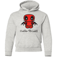Sweatshirts Ash / YS Hello 4th Wall Youth Hoodie