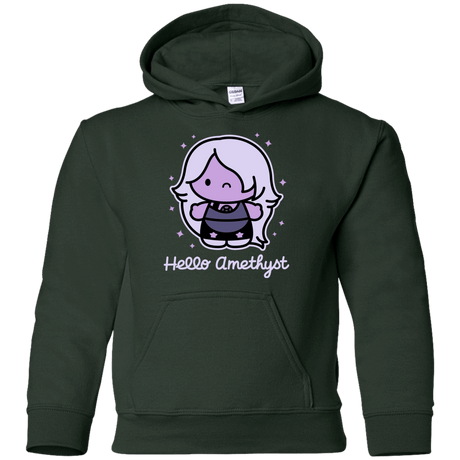 Sweatshirts Forest Green / YS Hello Amethyst Youth Hoodie