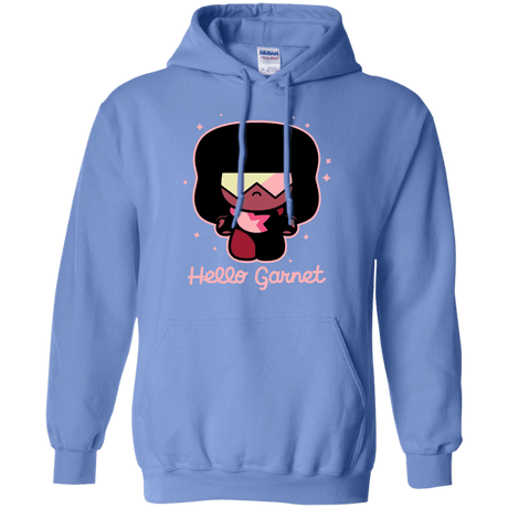 Sweatshirts Carolina Blue / S Hello Garnet Pullover Hoodie
