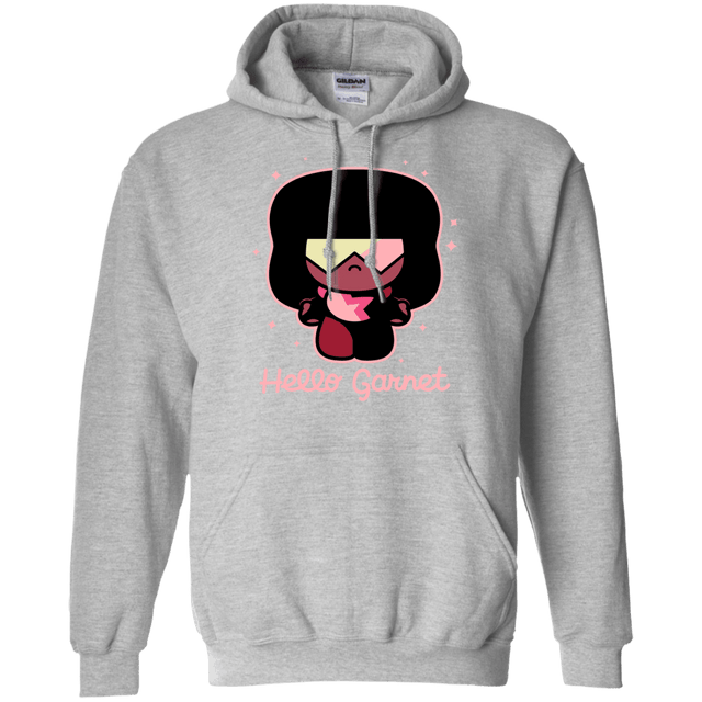 Sweatshirts Sport Grey / S Hello Garnet Pullover Hoodie