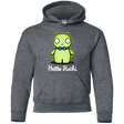 Sweatshirts Dark Heather / YS Hello Kuchi Youth Hoodie