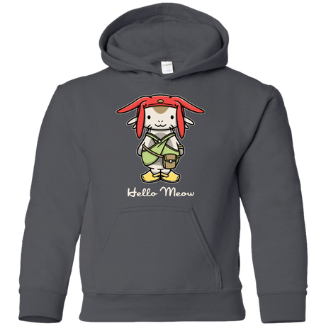 Sweatshirts Charcoal / YS HELLO MEOW Youth Hoodie