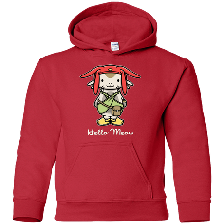 Sweatshirts Red / YS HELLO MEOW Youth Hoodie