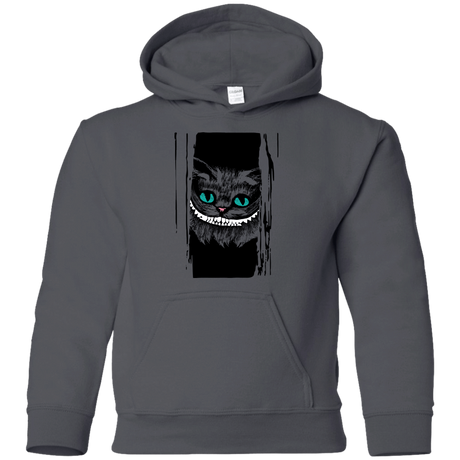 Sweatshirts Charcoal / YS Here's Cheshire Youth Hoodie