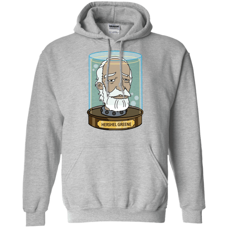 Sweatshirts Sport Grey / Small Hershel Greene Head Pullover Hoodie