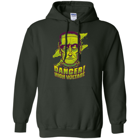 Sweatshirts Forest Green / Small HIGH VOLTAGE Pullover Hoodie