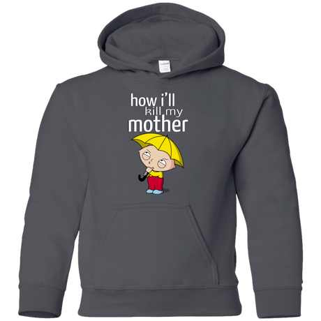 Sweatshirts Charcoal / YS HIKMM Youth Hoodie