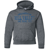 Sweatshirts Dark Heather / YS Hill Valley HS Youth Hoodie