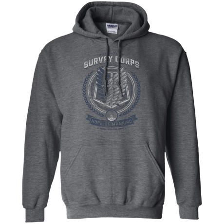 Sweatshirts Dark Heather / Small Hope of Mankind Pullover Hoodie