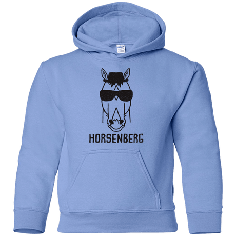 Sweatshirts Carolina Blue / YS Horsenberg Youth Hoodie