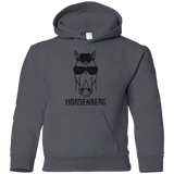 Sweatshirts Charcoal / YS Horsenberg Youth Hoodie