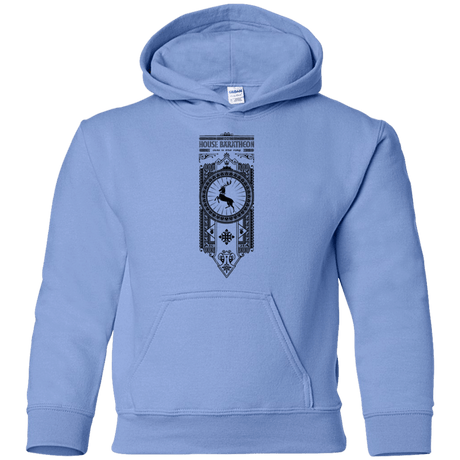 Sweatshirts Carolina Blue / YS House Baratheon Youth Hoodie
