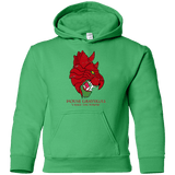 Sweatshirts Irish Green / YS House GraySkull Youth Hoodie