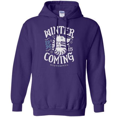 Sweatshirts Purple / Small House in the North Pullover Hoodie