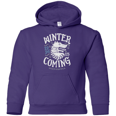 Sweatshirts Purple / YS House in the North Youth Hoodie