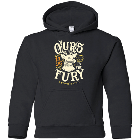 Sweatshirts Black / YS House of Fury Youth Hoodie