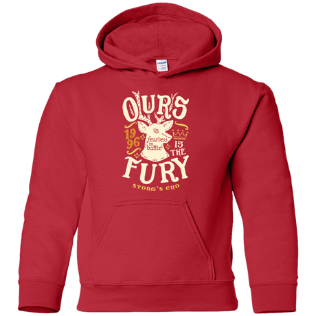 Sweatshirts Red / YS House of Fury Youth Hoodie
