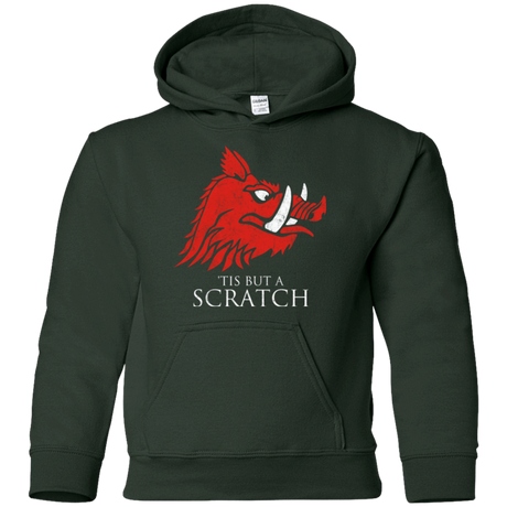 Sweatshirts Forest Green / YS House Scratch Youth Hoodie