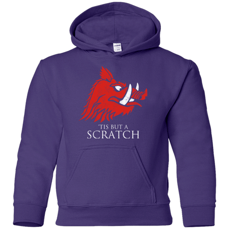 Sweatshirts Purple / YS House Scratch Youth Hoodie