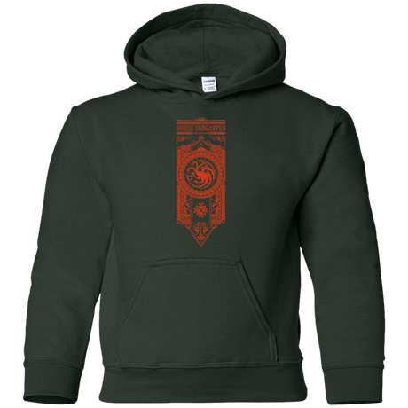 Sweatshirts Forest Green / YS House Targaryen Youth Hoodie