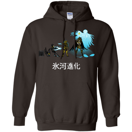 Sweatshirts Dark Chocolate / Small Hyoga Evolution Pullover Hoodie