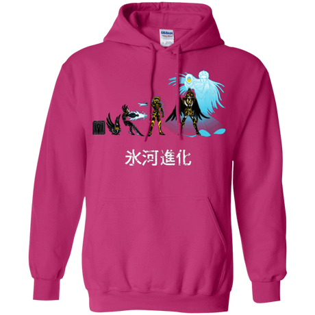 Sweatshirts Heliconia / Small Hyoga Evolution Pullover Hoodie