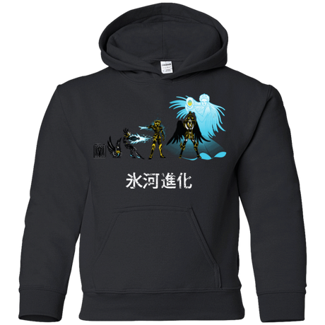 Sweatshirts Black / YS Hyoga Evolution Youth Hoodie