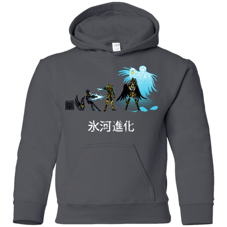 Sweatshirts Charcoal / YS Hyoga Evolution Youth Hoodie