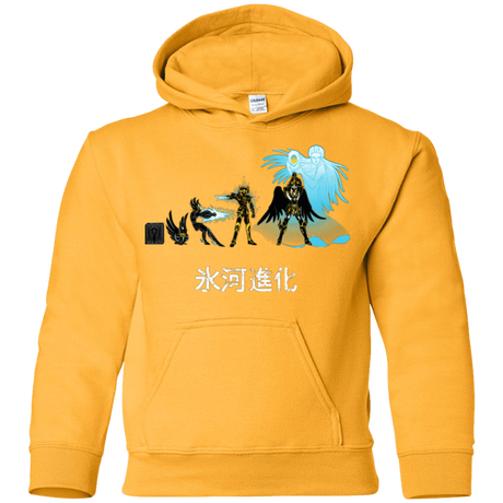 Sweatshirts Gold / YS Hyoga Evolution Youth Hoodie