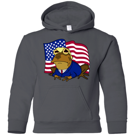 Sweatshirts Charcoal / YS hypnotrump Youth Hoodie