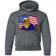 Sweatshirts Dark Heather / YS hypnotrump Youth Hoodie