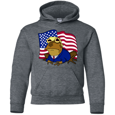 Sweatshirts Dark Heather / YS hypnotrump Youth Hoodie