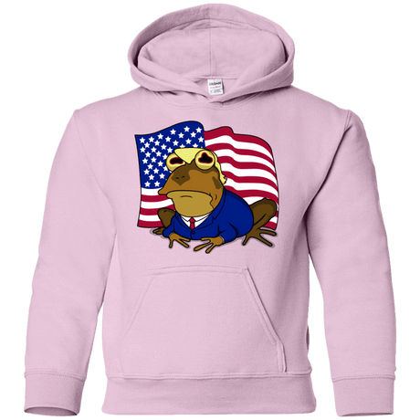 Sweatshirts Light Pink / YS hypnotrump Youth Hoodie