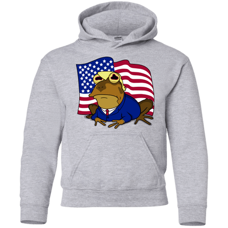 Sweatshirts Sport Grey / YS hypnotrump Youth Hoodie