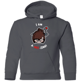 Sweatshirts Charcoal / YS I Am A Mei Zing Youth Hoodie