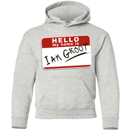 Sweatshirts Ash / YS I am Groot Youth Hoodie