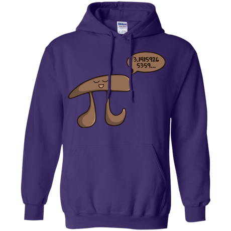 I am Pi Pullover Hoodie