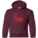 Sweatshirts Maroon / YS I First Order SW Youth Hoodie
