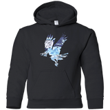 Sweatshirts Black / YS I know nothing Youth Hoodie