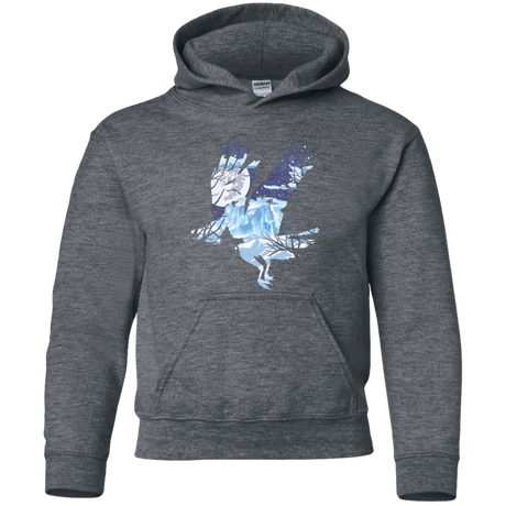 Sweatshirts Dark Heather / YS I know nothing Youth Hoodie