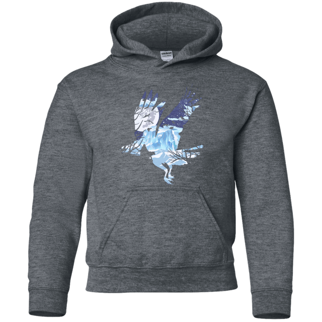 Sweatshirts Dark Heather / YS I know nothing Youth Hoodie