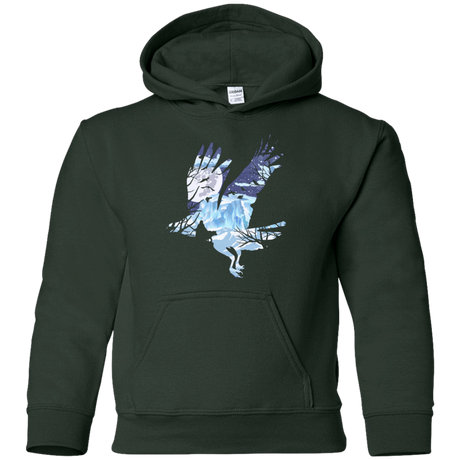 Sweatshirts Forest Green / YS I know nothing Youth Hoodie