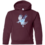 Sweatshirts Maroon / YS I know nothing Youth Hoodie