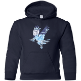 Sweatshirts Navy / YS I know nothing Youth Hoodie
