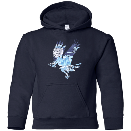 Sweatshirts Navy / YS I know nothing Youth Hoodie