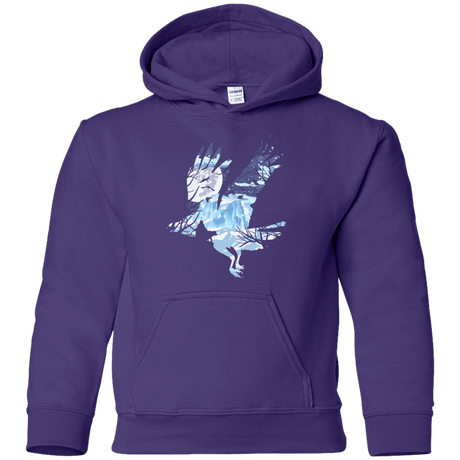 Sweatshirts Purple / YS I know nothing Youth Hoodie